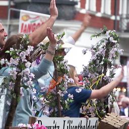  Festumzug bei Werders Baumblütenfest (Quelle: rbb)