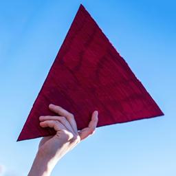 Symbolbild: Ein rotes Dreieck bei einer propalästinischen Demo. (Quelle: dpa/SOPA Images)