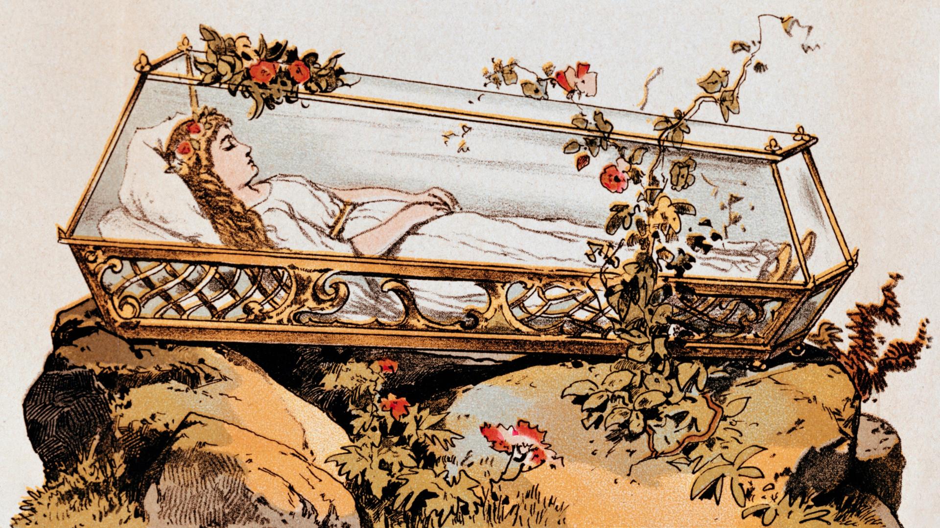 Ein Bild des Märchens Schneewittchen der Gebrüder Grimm zeigt Schneewittchen im gläsernen Sarg auf einem Felsen, um den Sarg wachsen Rosen. (Ausschneidebogen für Kindertheater um 1870)
