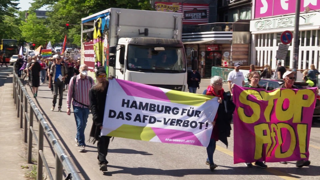 Demonstration gegen AfD in der Hamburger Innenstadt | NDR.de - Nachrichten