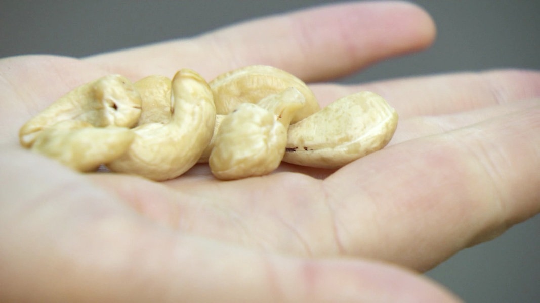 Hamburg testet einen Asphalt aus Cashew-Schalen | NDR.de - Nachrichten