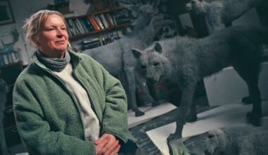 "Big Bad Wolf": Kendra Hastes fantastische Tierskulpturen in Büdelsdorf | NDR.de - Kultur - Kunst
