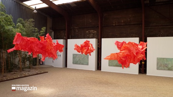 Drei Wolken aus rotem Pappmaché hängen bei einer Kunstausstellung von der Decke © NDR Foto: NDR Screenshot