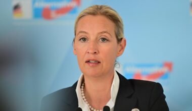 Als geheim eingestuft: „Cicero“ veröffentlicht gesamtes AfD-Gutachten