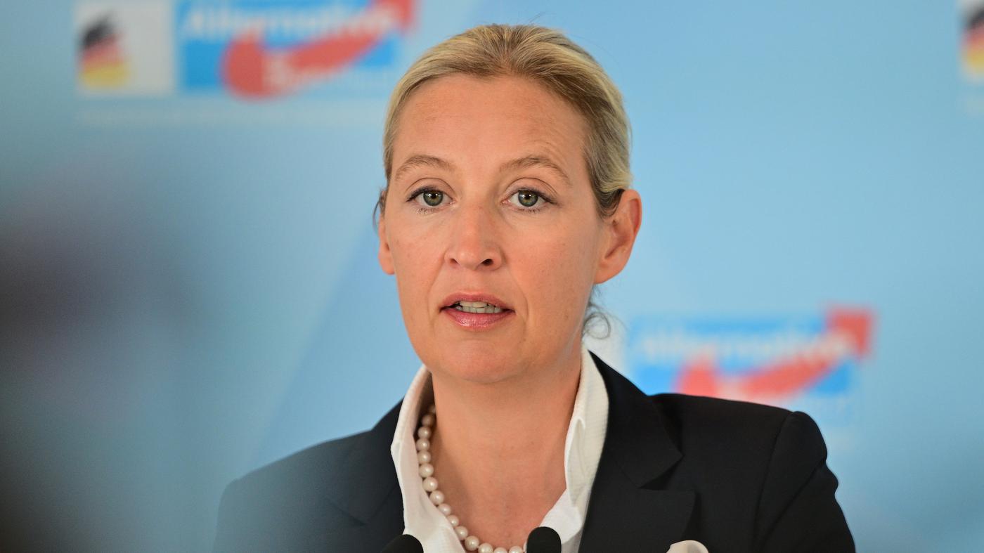 Als geheim eingestuft: „Cicero“ veröffentlicht gesamtes AfD-Gutachten