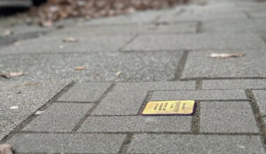 Erinnerung an den Nationalsozialismus: "Muss noch mehr getan werden"