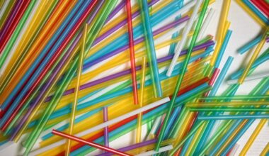 Neues Plastik aus Leipzig: Leicht, robust, günstig und recyclebar