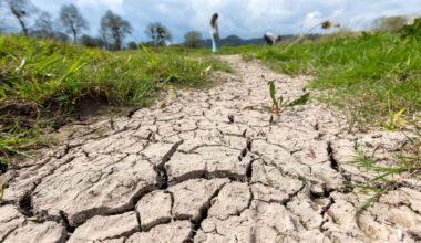 Sonne am Tag – nachts weiter Frost