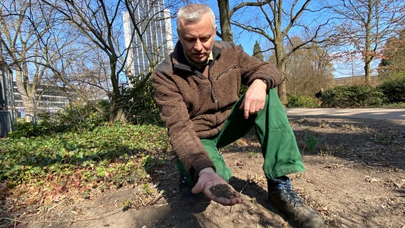 Ein Mann hält im Hamburger Park Planten un Blomen trockene Erde in der Hand © NDR/Jenny Witt 