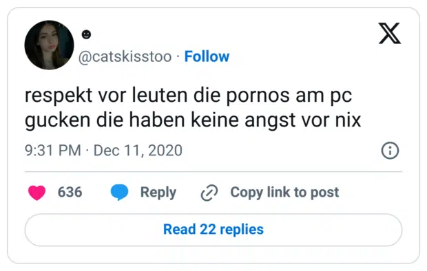 respekt vor leuten die pornos am pc gucken die haben keine angst vor nix

