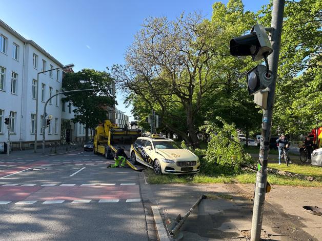 Das Taxi zerstörte einen Stromkasten, ein Schild und einen Baum.