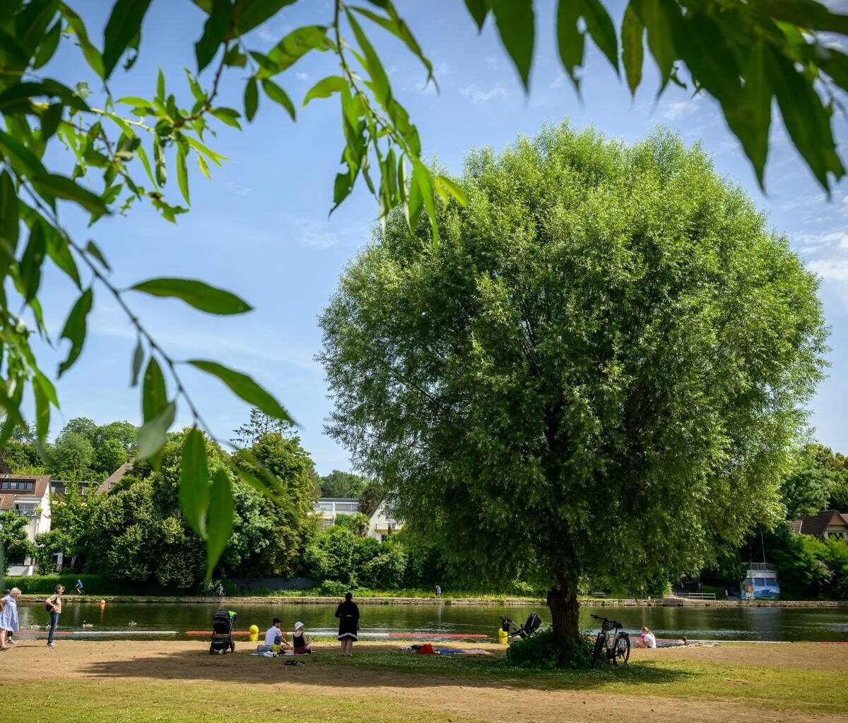 Saarn: Schwimmstelle geht Samstag in Betrieb