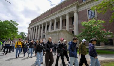 Bundesregierung bietet Harvard „Exil-Campus“ in Deutschland an