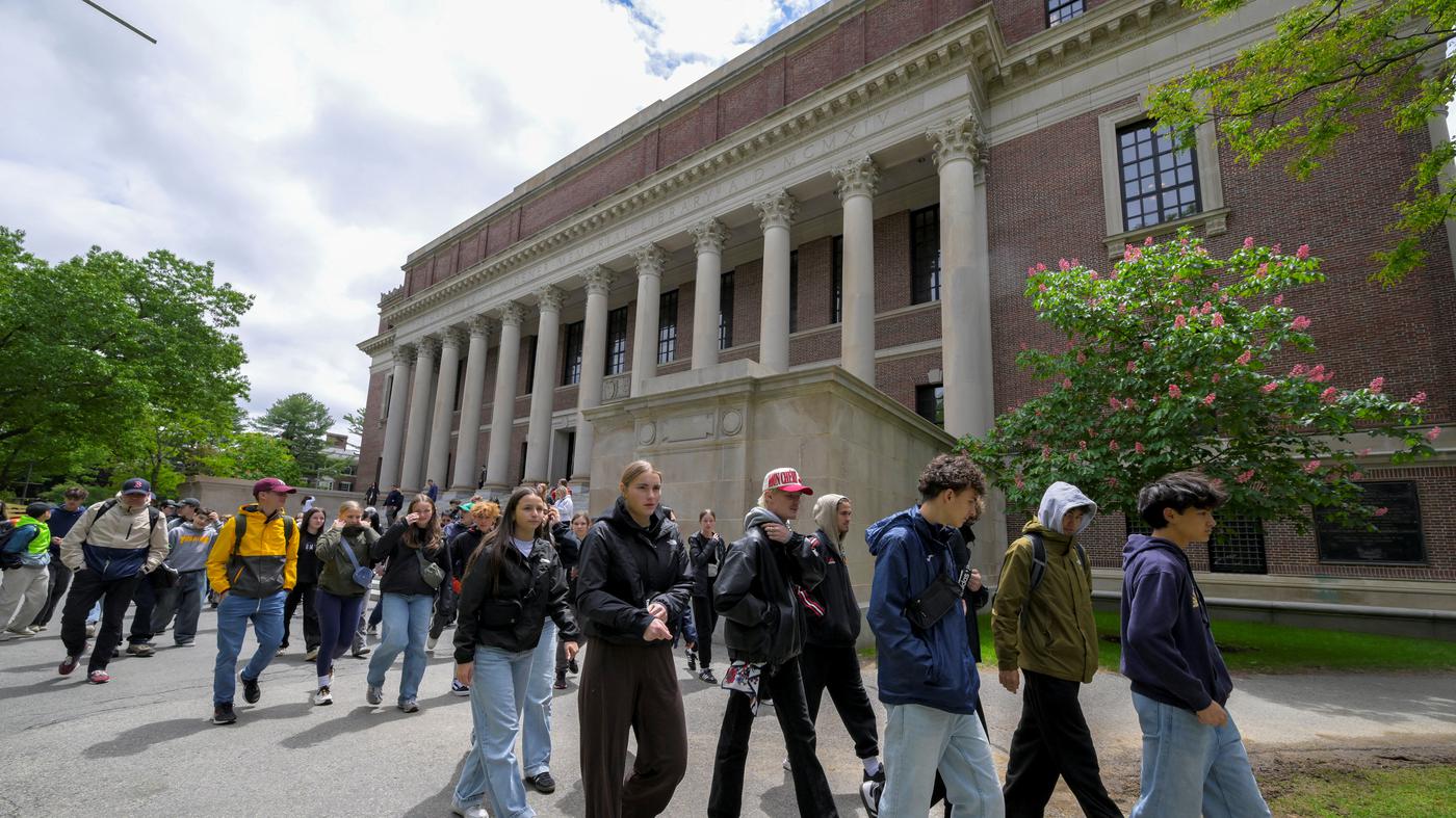 Bundesregierung bietet Harvard „Exil-Campus“ in Deutschland an