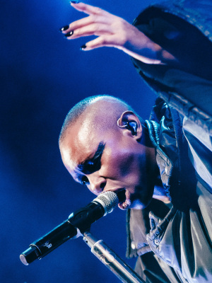 Vorchecking: Skunk Anansie&comma; Blond&comma; Sarah Connor
