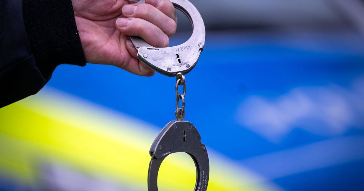 Containerladung Walnüsse gestohlen – doch Täter begehen fatalen Fehler