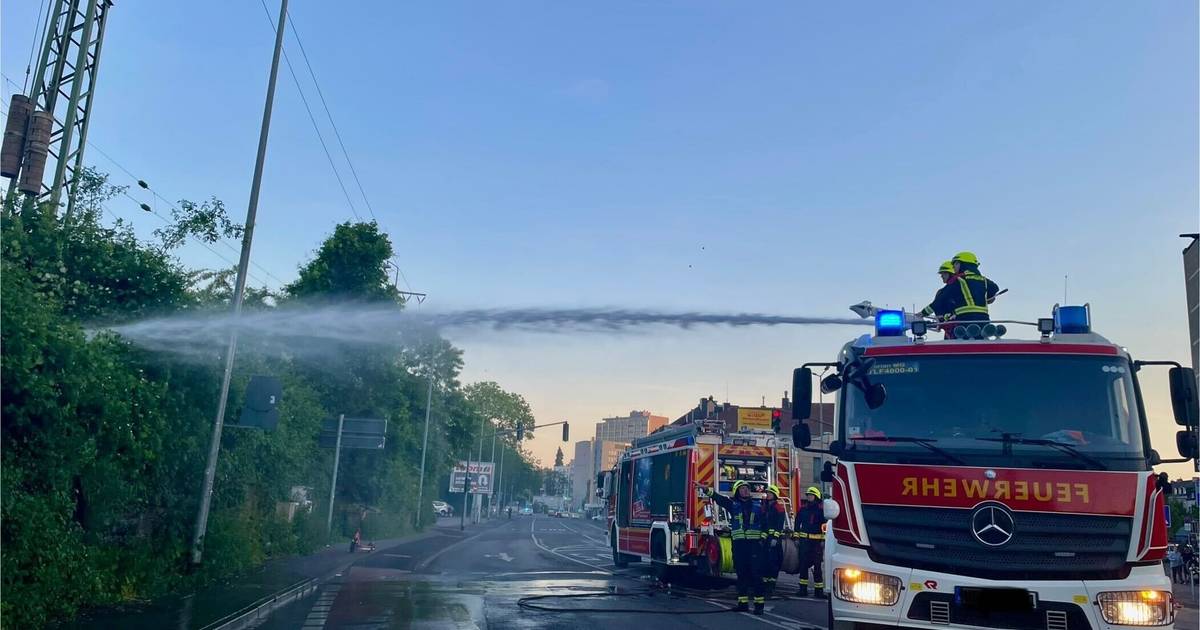 Mönchengladbach: Böschungsbrand nahe Hauptbahnhof - Züge fallen aus