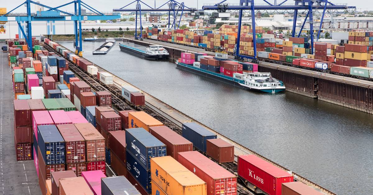 HGK Köln kontrolliert immer mehr Containerterminals am Rhein, so Markus Krämer