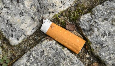Zigaretten-Stummel werden in Düsseldorf zum Problem