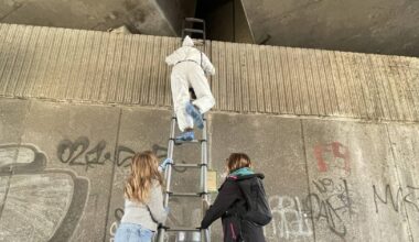 Ehrenamtler kümmern sich um den Taubenschutz
