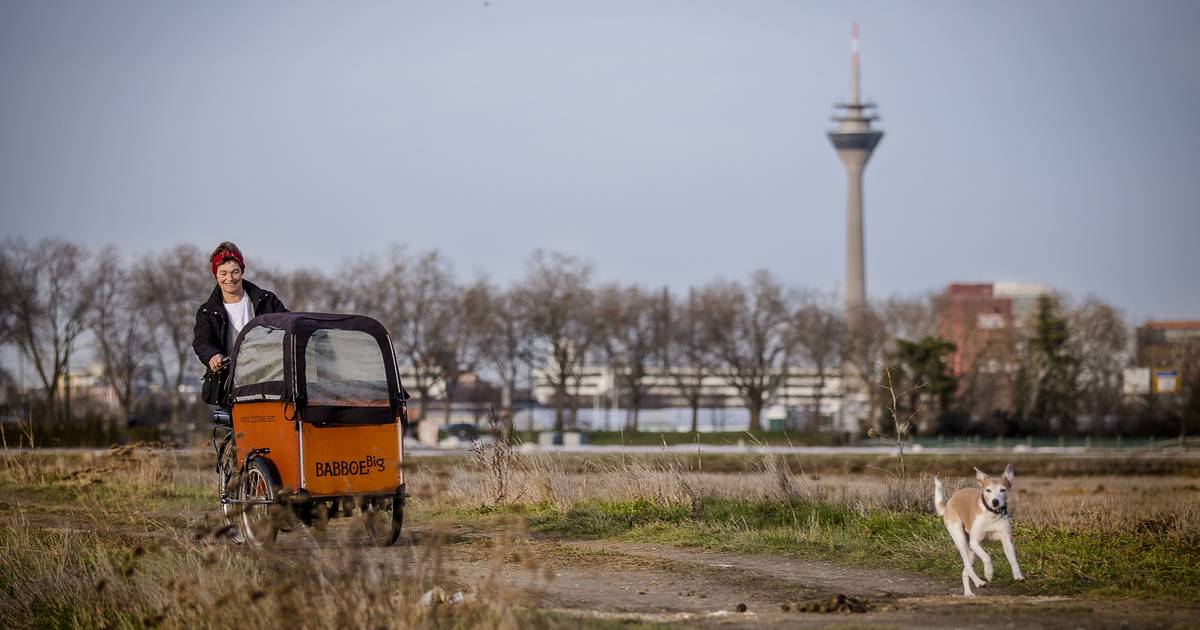 Vorstoß für neue Förderung für Lastenräder