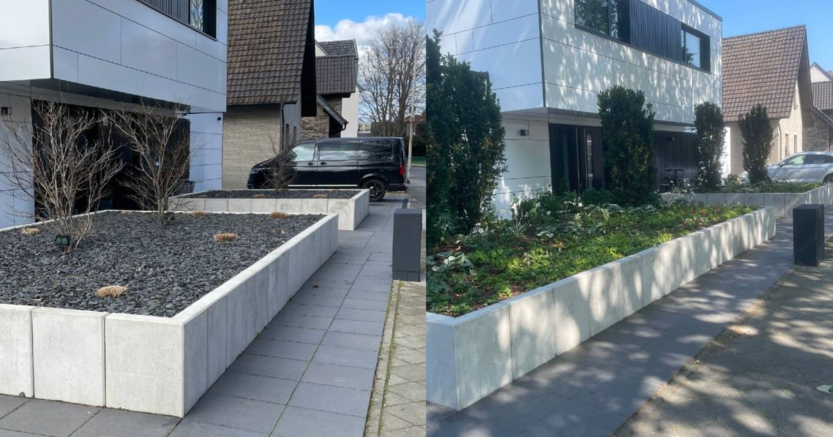Schottergärten: Fördern statt Strafe - wie andere Städte das Verbot lösen