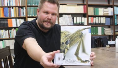 Buch "Von Angesicht zu Angesicht" über heimische Insekten