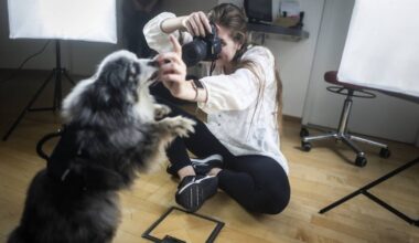 Hunde-Fotoshooting zum Praxisjubiläum