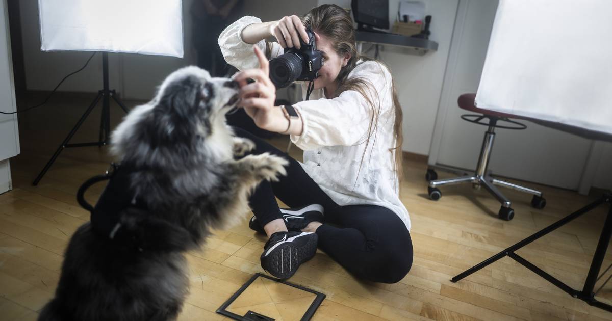 Hunde-Fotoshooting zum Praxisjubiläum