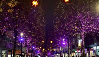 Stadt braucht Partner für ein Comeback der Allee