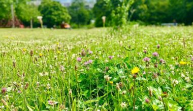 Familienfest im Diepenpark am 1. Juni
