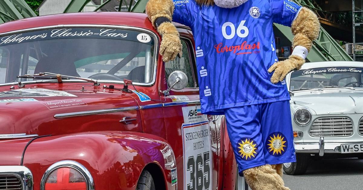 Die WZ lädt zur großen Autoschau