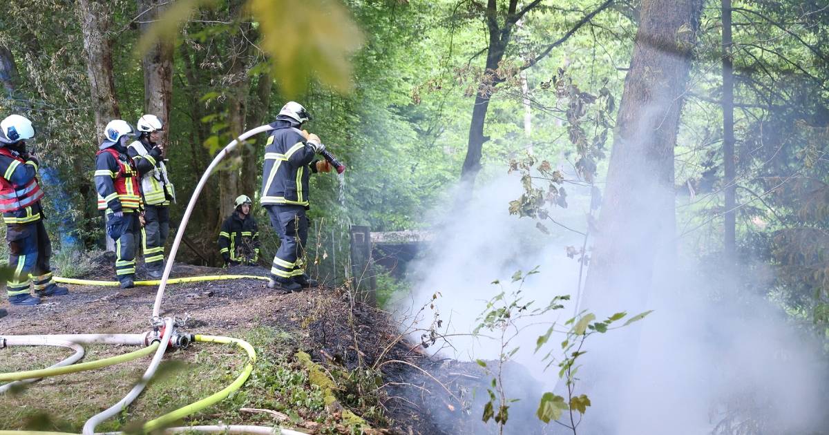 Das trockene Frühjahr ist auch in Wuppertal deutlich spürbar