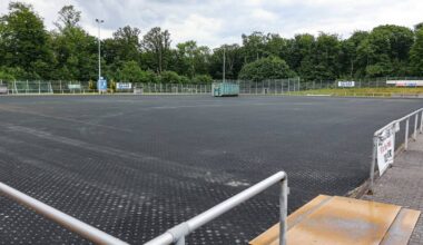 Bald wird es wieder grün am Freudenberg