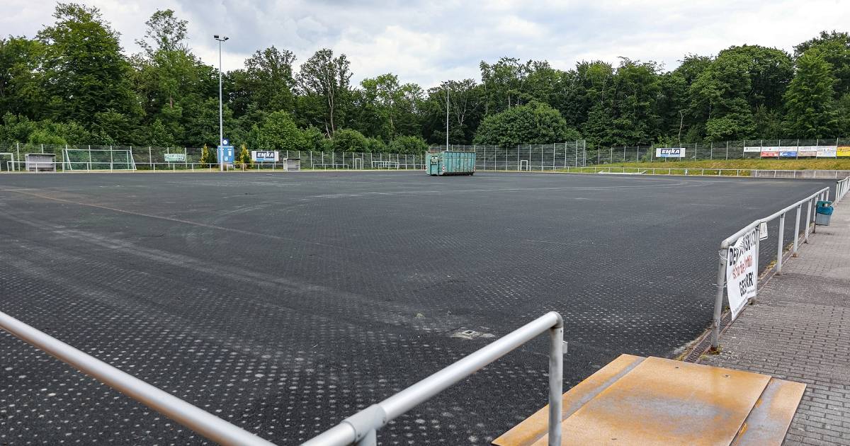Bald wird es wieder grün am Freudenberg