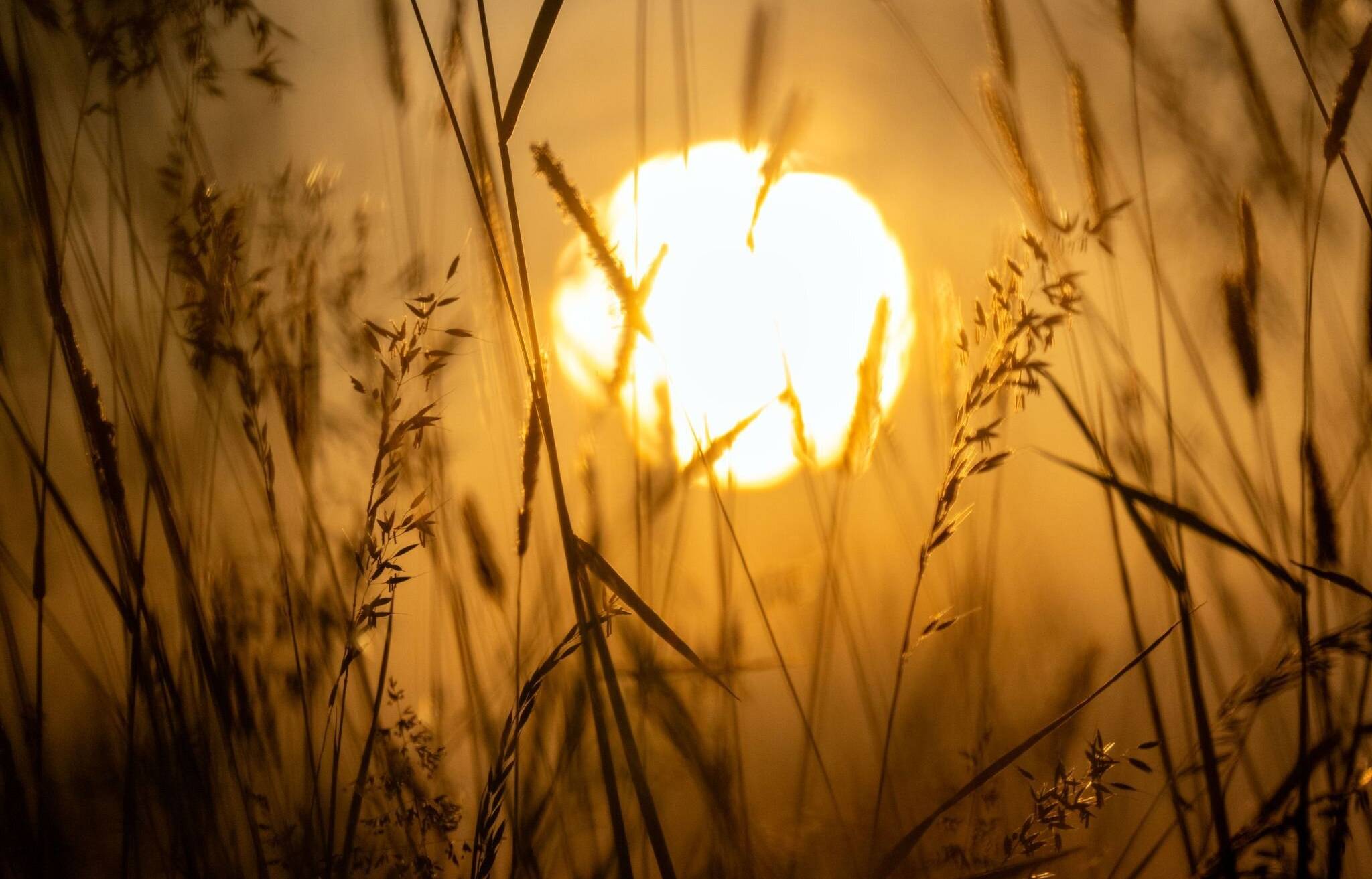 Bilder des Tages