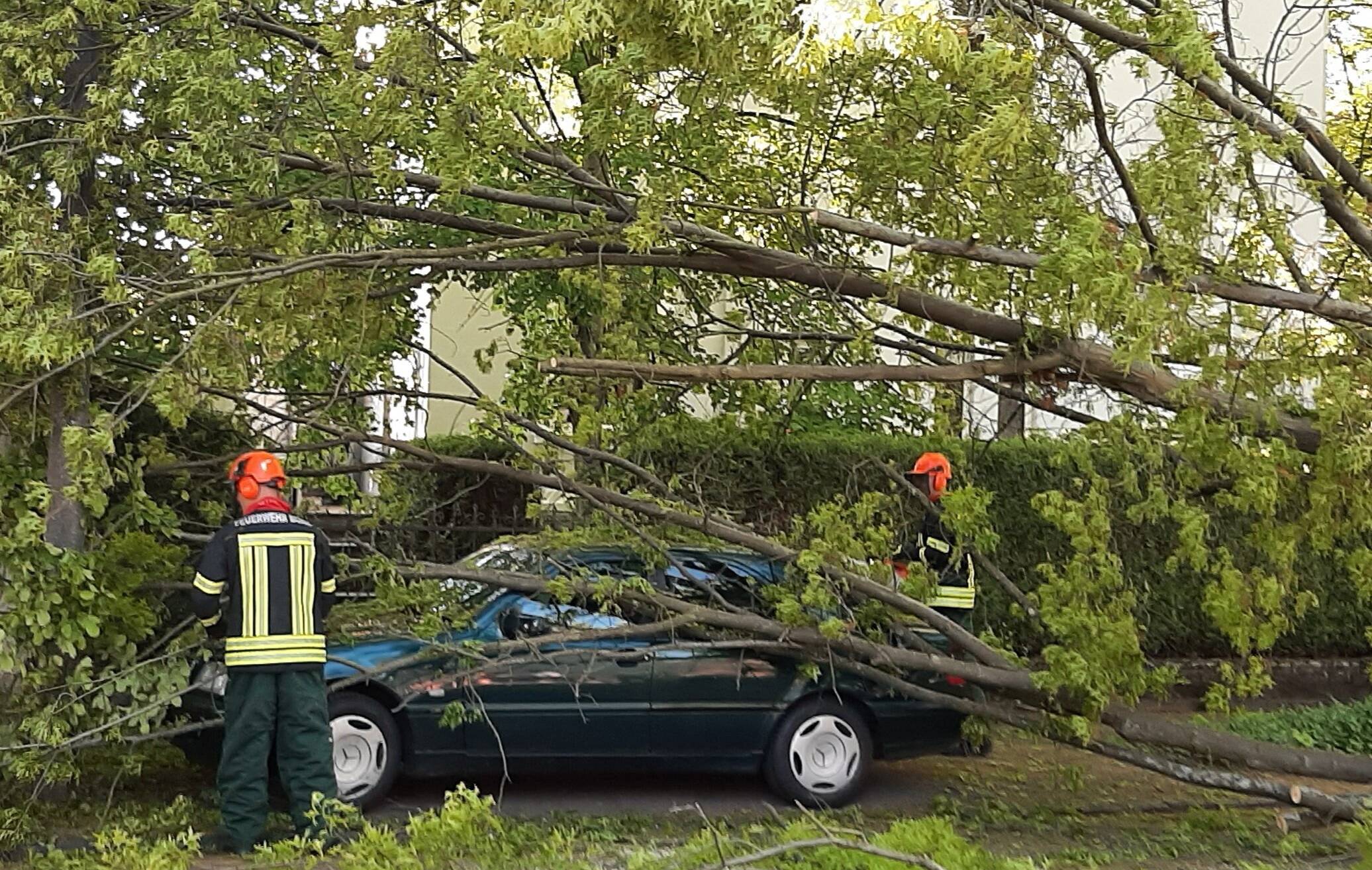  Einsatzkräfte schnittten den Baum am 28.April vorsichtig von dem Auto in Bad Godesberg. 