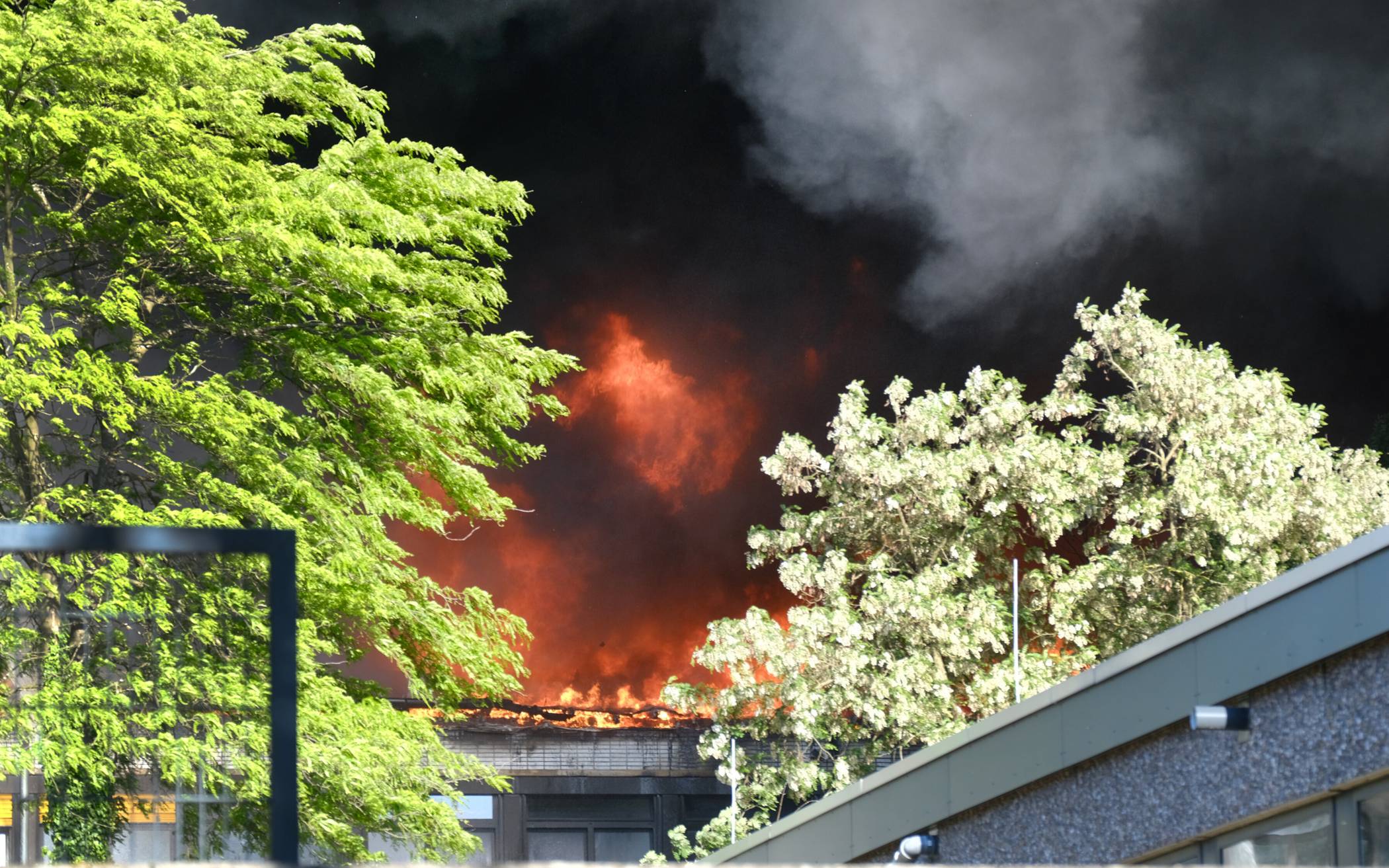Erkrath Schulzentrum Rankestraße: Bilder vom Einsatz beim Großbrand