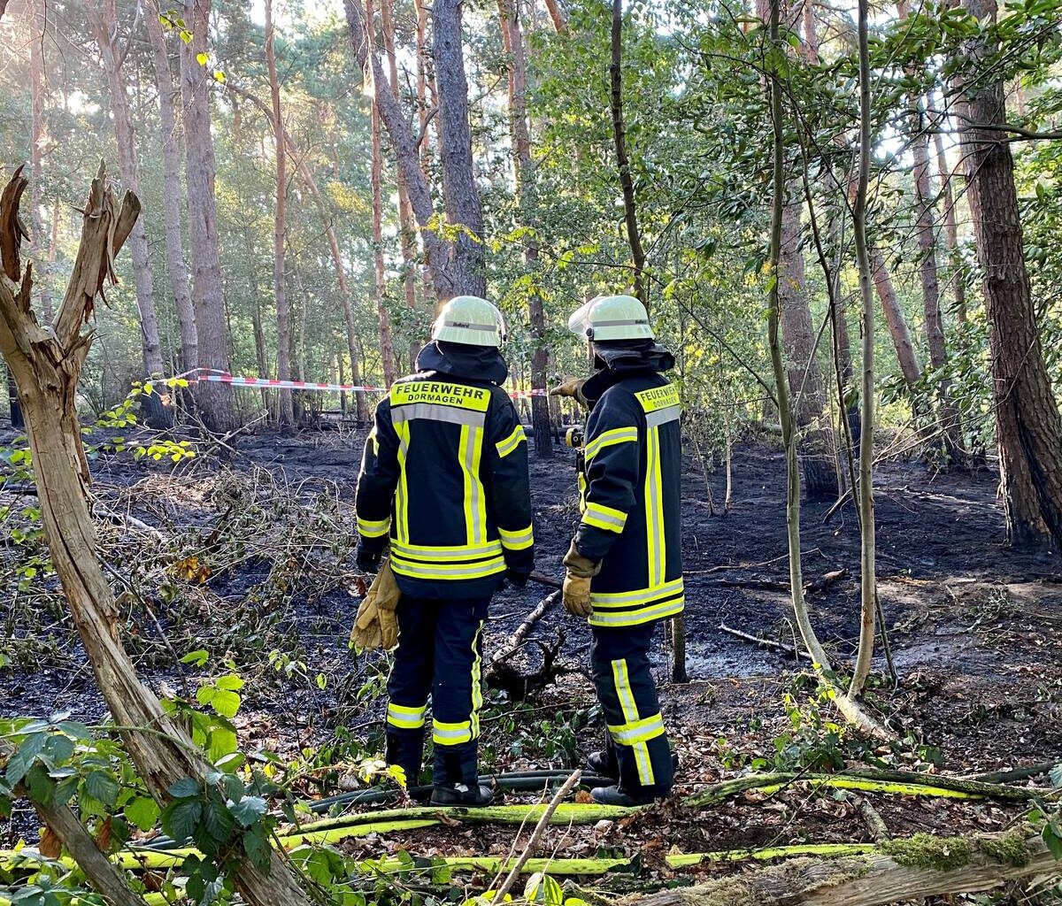 Waldbrandgefahr im Rhein-Kreis Neuss steigt