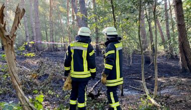 Waldbrandgefahr im Rhein-Kreis Neuss steigt