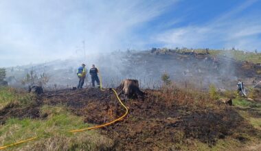 Bäume und Sträucher im Harz in Flammen: Feuerwehr nahe Schierke im Einsatz