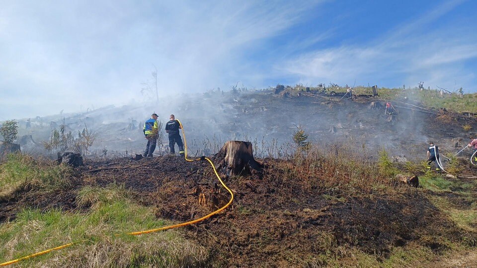 Bäume und Sträucher im Harz in Flammen: Feuerwehr nahe Schierke im Einsatz