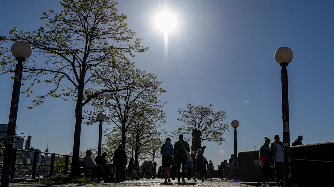 Klimawandel: Hamburg will Schulen besser gegen Hitze schützen | NDR.de - Nachrichten