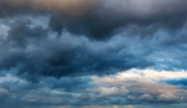 Biowetter in Nürnberg heute: Pollenflug und Symptome bei Wetterfühligkeit aktuell am 11.05.2025