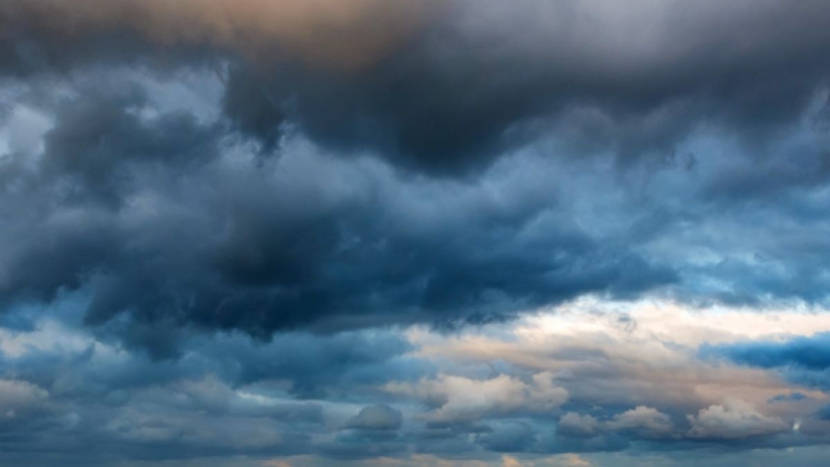 Biowetter in Nürnberg heute: Pollenflug und Symptome bei Wetterfühligkeit aktuell am 11.05.2025