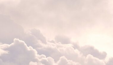 Biowetter in Wuppertal heute: Pollenflug aktuell und witterungsbedingter Einfluss auf Ihr Wohlbefinden