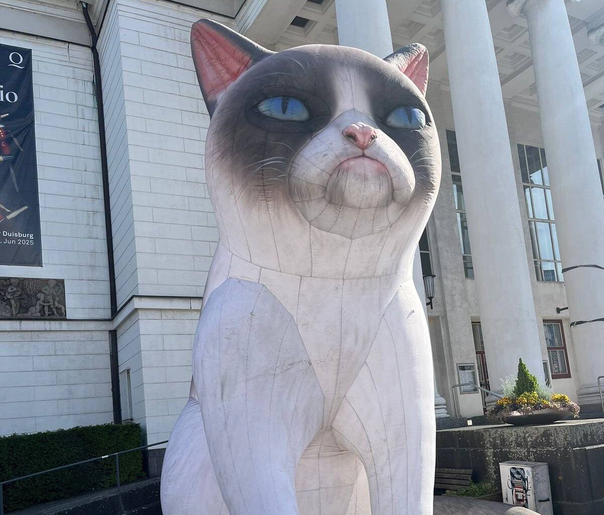 "Grumpy Cat" vor Duisburger Stadttheater