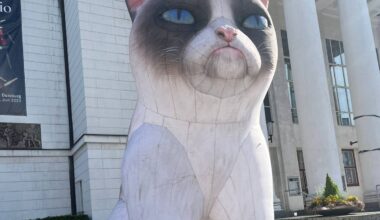 "Grumpy Cat" vor Duisburger Stadttheater
