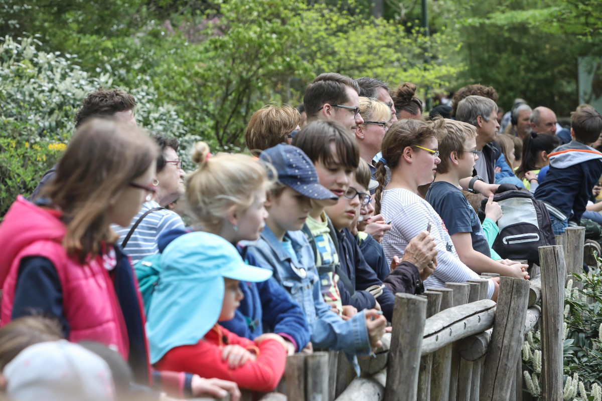 Zoo Dortmund: Routine-Check bei Nachwuchs! Jetzt herrscht Gewissheit