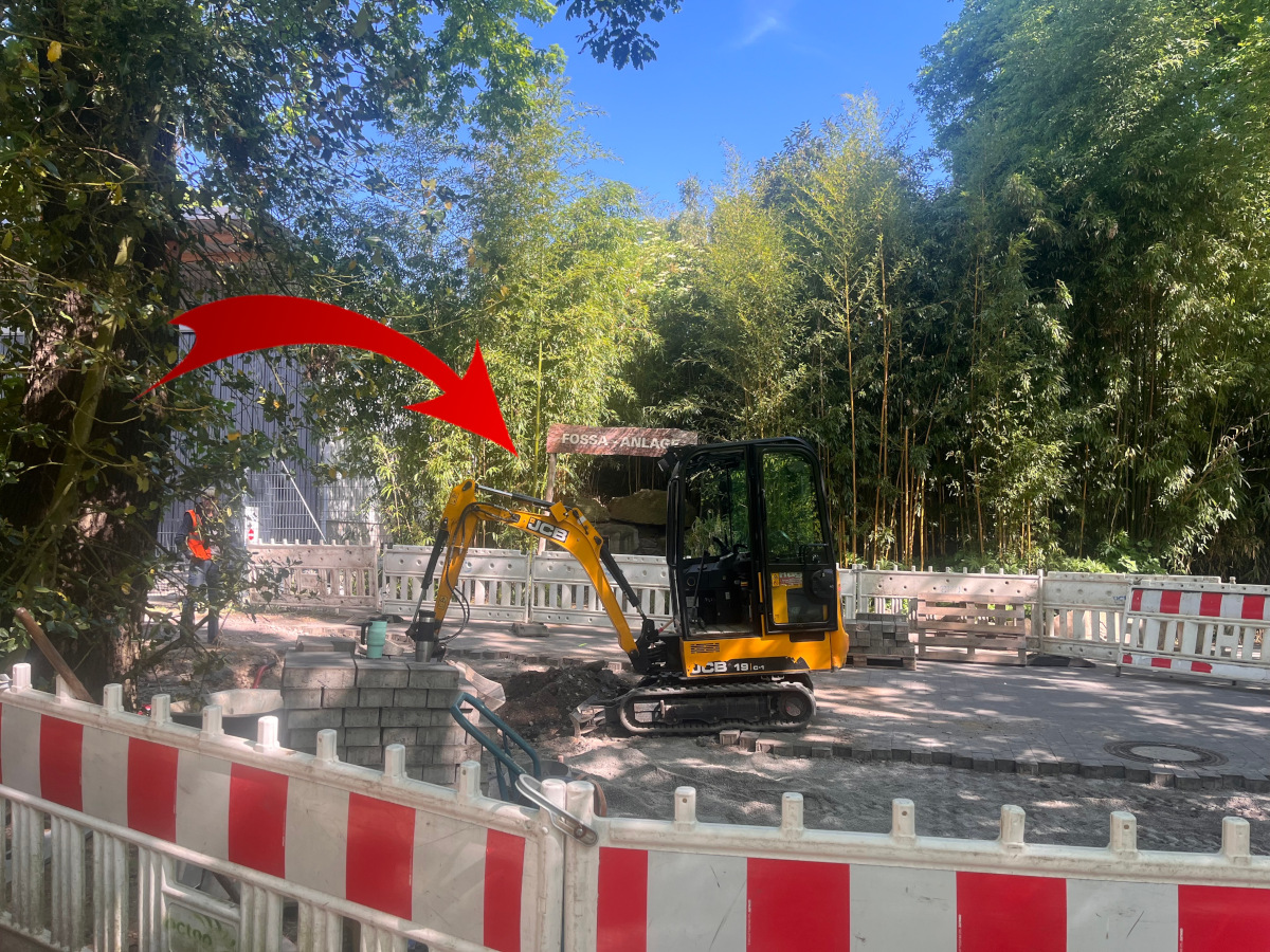 Zoo Duisburg: Besucher schauen ganz genau hin – Gehege löst Wirbel aus